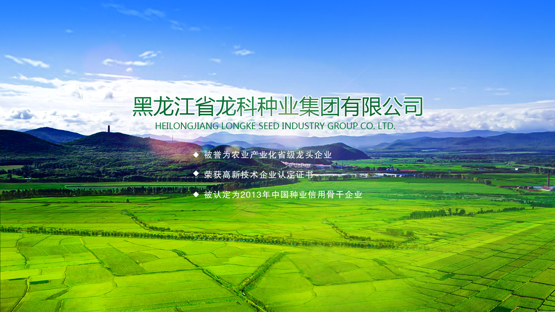 黑龙江省龙科种业集团有限公司|黑龙江大豆种子|玉米